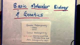 Genetic heterogeneity locus and allelic [upl. by Eugirne]