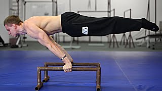 How To Planche  Beginner Tutorial [upl. by Nyrraf]