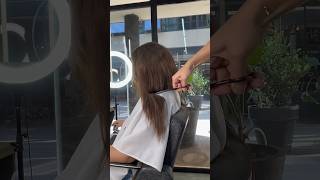 Cambio total  Corte de pelo mujer  By facundo verdini  mejorpeluquerodeargentina [upl. by Hahseram]