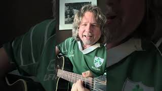 Tribute to Shane MacGowan quotSally MacLennanequot performed by Scott Damgaard [upl. by Orelia]