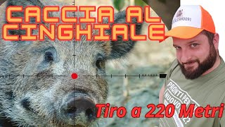 CACCIA DI SELEZIONE AL CINGHIALE [upl. by Alyak492]