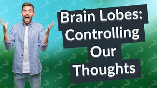 How Do the Lobes of My Brain Function Understanding Cerebral Cortex Anatomy [upl. by Abibah]