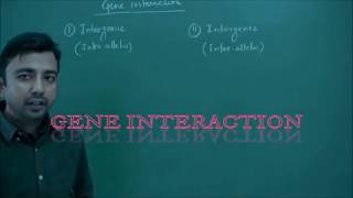 Gene Interaction Intraallelic and Interallelic [upl. by Penrod400]