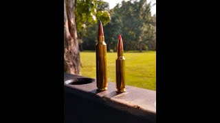 Bergara HMR Pro 28 Nosler first shots [upl. by Erhart87]