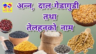 अन्‍न दालगेडागुडी र तेलहनकाे नाम  Cereals Pulses and Oilseeds name kidsvideo education [upl. by Krisha443]