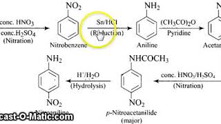 Benzene to p nitroaniline [upl. by Tracy]