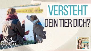 Tierkommunikation Woher weißt du dass deine Botschaft beim Tier angekommen ist Podcast 213 [upl. by Urquhart]