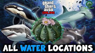 GTA Online  Peyote Plant Location 3 of 76  Paleto Bay [upl. by Elfrida]