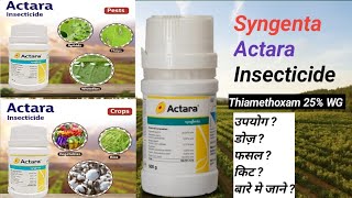 Thiamethoxam 25 WG  Actara Syngenta Systemic Insecticide  agrowithtechnical [upl. by Ydnamron]