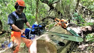 Dueling Chainsaws Farmertec Holzfforma G660 vs G444 [upl. by Frodin]