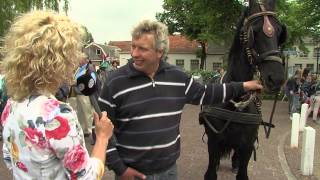 Paardenmarkt Rijnsburg 2013 [upl. by Alleris]