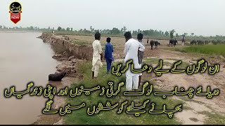 River Chanab flood at Talibwala  video and Footage ⚡Nadeem Gondal [upl. by Hafeetal225]