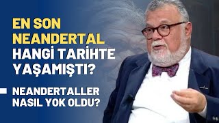 En Son Neandertal Hangi Tarihte Yaşamıştı Neandertaller Nasıl Yok Oldu [upl. by Gilmour781]