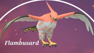 Passerouge évolution Braisillon évolution Flambusard Pokémon Go [upl. by Tfat]