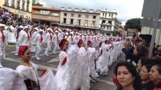 Récord guines del son jarocho quotLa bambaquot en Xalapa Ver [upl. by Bekah]