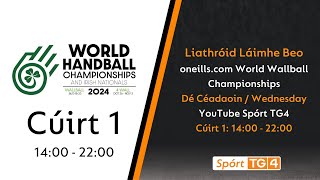 Day 4  Court 1  1400  2200  oneillscom World Wallball Championship  Liathróid Láimhe Beo [upl. by Piwowar774]