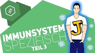 Spezifische Immunabwehr 3  Immunsystem [upl. by Enitsugua789]