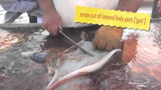 Deep Sea Fishing Cooking LIVE Squid 魷魚 Pusit [upl. by Levine]