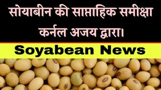 सोयाबीन की साप्ताहिक समीक्षा कर्नल अजय द्वारा। Soyabean News [upl. by Godber540]