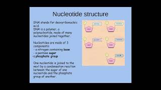 213 Nucleotides and Nucleic acids a The structure of a nucleotide [upl. by Iiette427]