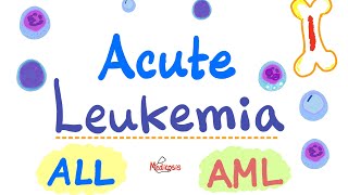 Acute Leukemia  ALL and AML  Hematology and Oncology Series [upl. by Nemracledairam]