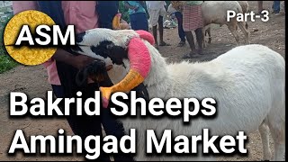 Episode 92 Bakrid Special Sheep Market  Amingad Market Bagal kot district Karnataka India [upl. by Ursal]