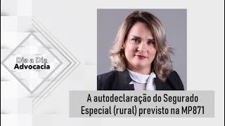 A autodeclaração do Segurado Especial rural previsto na MP871 [upl. by Kcirdnekal952]