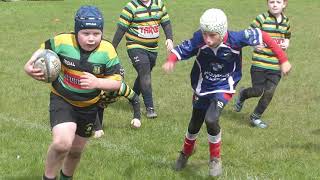 Hoppers Rugby Festival 2024 [upl. by Ernald]