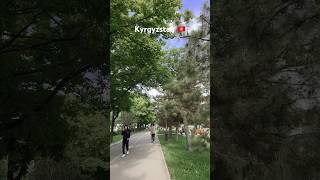 Fully green sidewalks in Bishkek Kyrgyzstan 🇰🇬 [upl. by Ytrebil897]