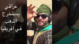 استخراج قطع الذهب الخام من باطن الارض بجهاز كشف الذهب جي بي زد ٧٠٠٠ [upl. by Lonier]