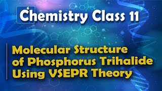 Molecular Structure of Phosphorus Trihalide Using VSEPR Theory  Nature of Chemical Bond [upl. by Clemmie]