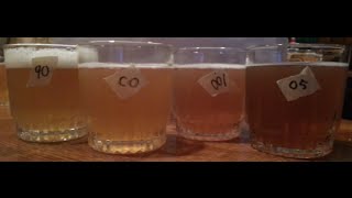 American Yeast Comparison WLP001 vs US05 vs WLP090 vs Conan [upl. by Esenwahs]