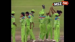 Pakistan vs England 1992 World Cup Final Highlights HD [upl. by Nialb]