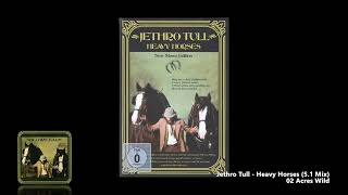 Jethro Tull  02 Acres Wild 51 Mix [upl. by Fergus752]