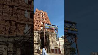 Shee someshwaraswami temple someshwaratemple halasuru omnamahshivaya shorts temple om [upl. by Nelli]