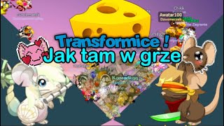 Transformice jak tam u ciebie Powrót Transformice po Polsku [upl. by Nathalie]