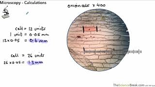 Microscopy Calculations For AQA 91 GCSE Biology and Trilogy Combined Science [upl. by Lull]