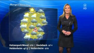 Claudia Kleinert in nylons rock skirt dress heels 10122012 wetter im ersten [upl. by Dagnah]