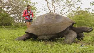 Galápagos Islands Cruise aboard the Passion  Guided Tours [upl. by Eppie]