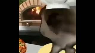 pizzaria del gatito memes shitpost status gato fofo massageando massa [upl. by Thurmond]