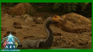 I Tamed Arks Most Difficult Tame Hesperornis Taming  Ark Survival Ascended Ep 23 [upl. by Maia396]