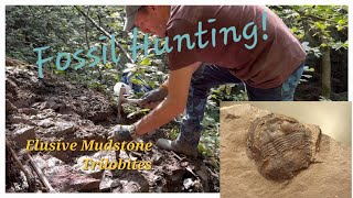 The Elusive Mudstone Trilobites Super rare finds [upl. by Suoirad9]