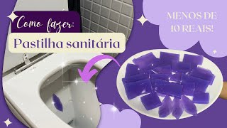 Como fazer pastilhas sanitária com MENOS DE 10 reais  Banheiro muito cheiroso [upl. by Attiuqehs]