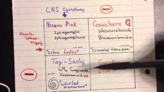 Lysosomal Storage Disease [upl. by Opiak105]