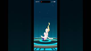 ✨💖💛 Shiny Popplio evolves into Brionne amp Primarina 🌊🪸🧜‍♀️ shinydex shinylivingdex pokemongo [upl. by Meadows]