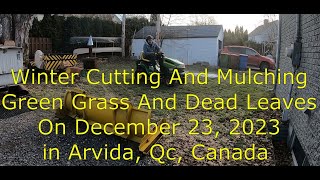 Winter Cutting And Mulching Green Grass And Dead Leaves On December 23 2023 in Arvida Qc Canada [upl. by Lurette]