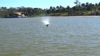 RC Boat Crash Pro Boat UL 19 Hydroplane [upl. by Yotal]