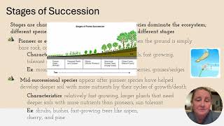 ecological succession video [upl. by Emmalee]