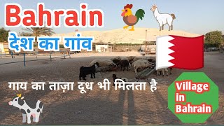 Village in Bahrain  बहरीन देश का गांव Bahrain Village Life । Bahrain NewsArabinfoHindi [upl. by Eerrehs]