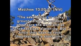 Matthew 132021 A Quick Look Stony Places [upl. by Laidlaw]